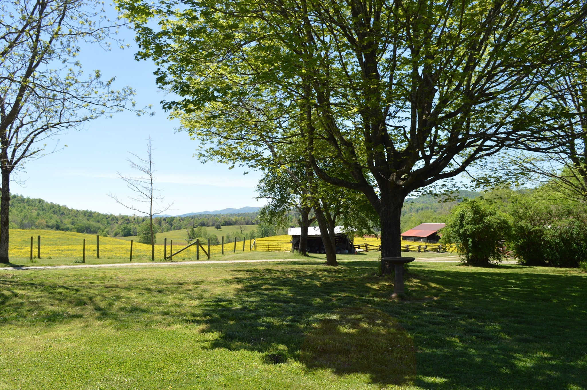 whippoorwill-village-front-yard